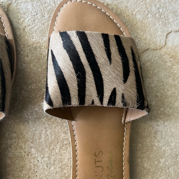 Coconuts by Matisse Flats - Picture 5 of 7